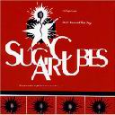 1992 - Stick Around For Joy.jpg